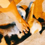 [방탄소년단] ? 지민씨