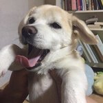 3명 무리에서 <b>소외</b>되는 사람 있냐