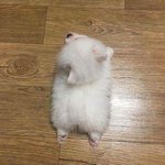 와 나 방금 워마드 사이트들어가봤는데
