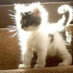 [조언부탁해] 조카 <b>철벽남</b> 꼬시는법좀 ㅈㅂ