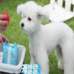 이번에는) 넌 능력있는 커리어<b>우먼</b>이야 회사에서 바쁘게 일하고 있는데...