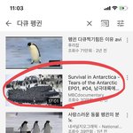 [드루와] 너네 멍때리면서 귀엽고 <b>힐링</b>되는거 찾고았으면