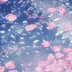 우리나라 <b>페미니즘</b>있잖아