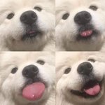 [19] <b>생리전</b> 증후군 나랑 비슷한 사람 있음?