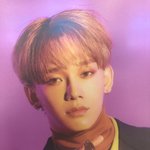 쇼챔 <b>최다</b>수상