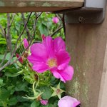 [댓글부탁해] 예비 중3 영어 <b>문법</b>책 ㅊㅊ좀