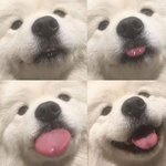[댓글부탁해] 와 <b>시바</b> 맘 ㅈㄴ 편해졌어