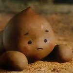 양쪽눈 <b>도수</b> 다른데 같은렌즈 쓰는 사람 잇?