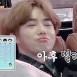 [EXO] 걍 멘탈 앵간한애들만 피뎊따