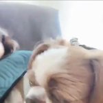 [방탄소년단] 근데 있잖아.. 호석이...