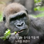 갑자기 떠오른 흑역사 공유한다ㅠㅠㅠㅠㅠㅠ