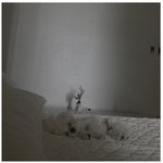 [댓글부탁해] <b>미역국</b> 라면 맛있나요..