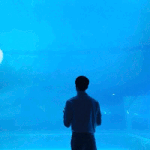 [EXO] 근데 세훈이 ㄹㅇ 다음달이나 돼야 나오겠다