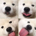 [드루와] 아 속상해 뭐냐