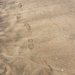 [드루와] <b>배리</b>나 몸무게 체감