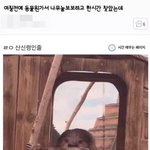 [댓글부탁해] 니트는 <b>인</b><b>쇼</b>중에 어디가예뻐