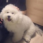 [드루와] 얘드라 나 밤새고 <b>헌혈</b>하러가는데