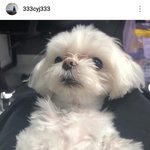 [댓글부탁해] <b>쿠션</b> 추천해조