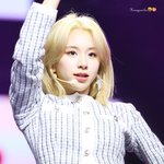 [트와이스] <b>채영</b>이 금발 찰떡이다ㅠㅠㅠ