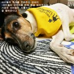 한번쯤 가보고픈 <b>독특</b>한 도서관