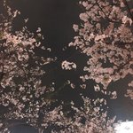 ㅋㅋㅋㅋ아파트<b>옥상</b>에 새가 둥지지었나봐
