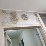 진짜 개개개개개조오오오오올라 억울행ㅠ