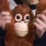 [EXO] <b>매실</b>톡말고 원숭이톡어떰