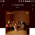 [세븐틴] 이 시기에 리얼리티하면