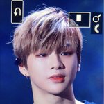[강다니엘] 오늘 갓기도 왔대