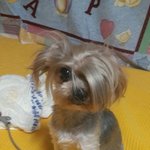 [드루와] 스캐 <b>서준</b>이 문제 못 풀어서 차파국한테 혼나는 장면