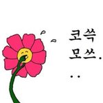 [댓글부탁해] 아빠가 에어짭 사옴