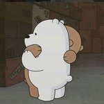 [댓글부탁해] 너네 반려동물 <b>펫샵</b>에서 데려온애 있어?