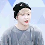 [드루와] <b>비니</b> 쓴 남돌 짤 풀고가자