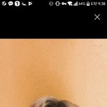 나 귀<b>염증</b> 넘 심한데 어떡행