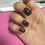 무광? <b>유광</b>? 추반좀