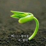 [댓글부탁해] 각 대학 <b>간판</b>과 알려주라