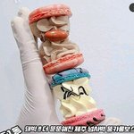 [모두드루와] 제주도 <b>뚱카롱</b> 근황.jpg