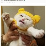 [ㅋㅋㅋㅋㅋ] 우리 아들한테 <b>여자옷</b>을 입혀봤더니 울더라구요..