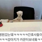 [댓글부탁해] 하이틴영화 추천좀 <b>해조</b> !!!!!!!
