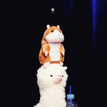 [댓글부탁해] 이과 2점<b>후반</b> 대학 어디갈수있음?