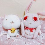 [댓글부탁해] <b>달빛</b>천사 본애들 들어와봐 ㅃㄹ