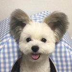 <b>교복</b> 어디 브랜드가 예뻐??