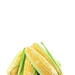[댓글부탁해] 난 요즘 네이바 웹툰 개좋다고 생각하는데