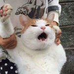 [댓글부탁해] 이렇게 먹으면 <b>세달</b>안에 20키로 빼기가능??
