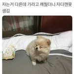 나 쌍커플있는게 <b>나아</b> 아니면 없는게 <b>나아</b>