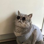 [이것좀봐줘] 내 이상형