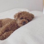 [댓글부탁해] ㅇㅏ얘들아 이거 화내면 내가 예민한거임?
