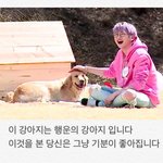 [강다니엘] ㅅㄷ) ㅠㅠ