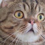 [댓글부탁해] <b>미방</b>혐주의) 피부 뒤집힌 이유가 뭘까ㅠㅜ 피부과 가면...