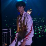 [NCT] 네오시티 콘서트에서 실물 레전드 멤버ㄷㄷ